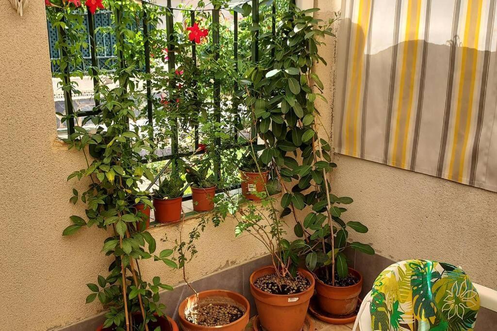 Bungalow Manuela En Santa Pola Ngoại thất bức ảnh